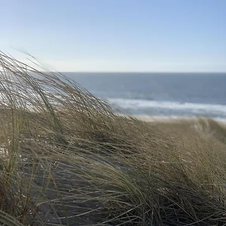 Atlantik-1-41-an-der-„sylter-welle“ * Vesterland